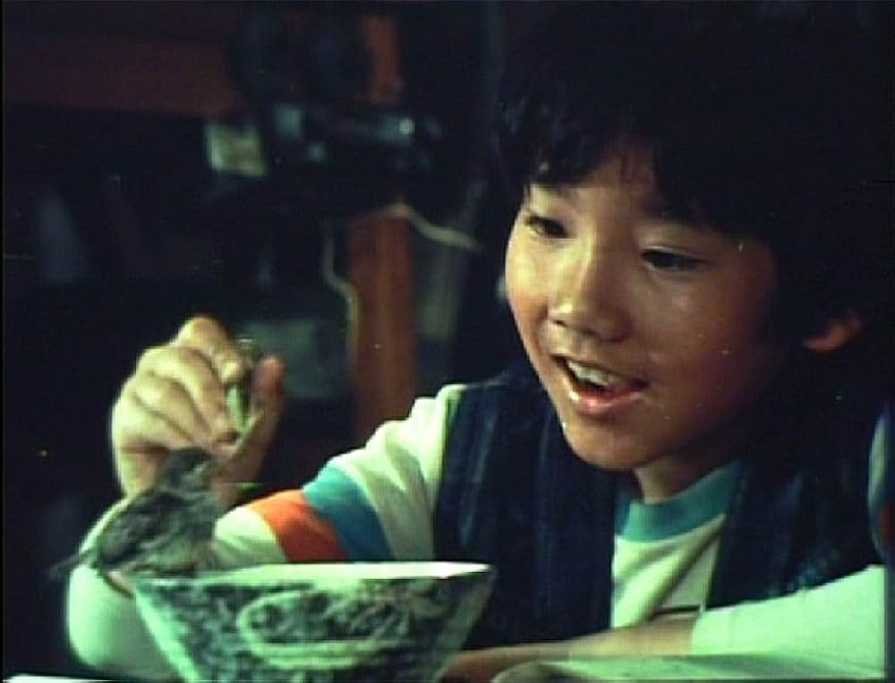 こむぎいろの天使 雀と少年の画像