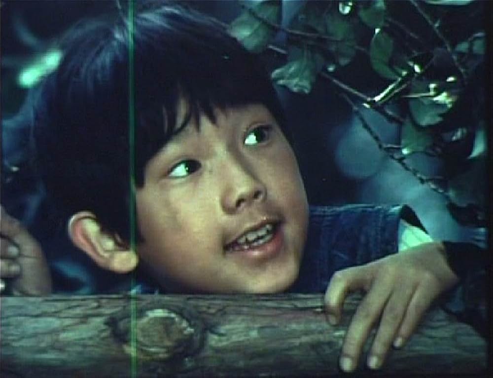 こむぎいろの天使 雀と少年の画像