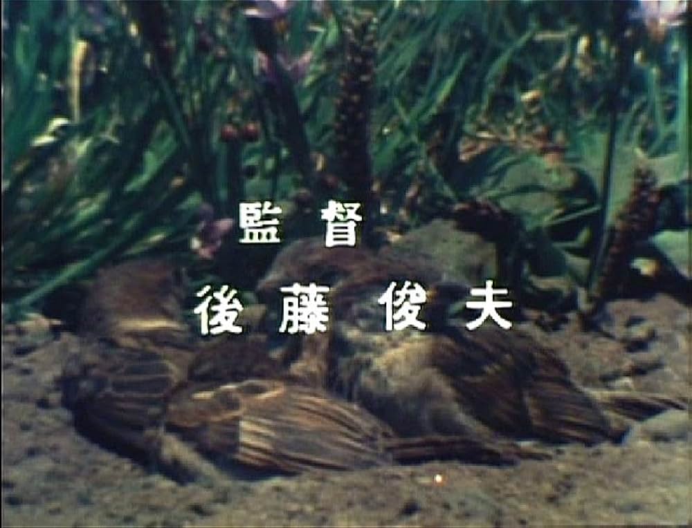 こむぎいろの天使 雀と少年の画像