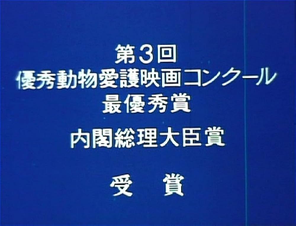 こむぎいろの天使 雀と少年の画像