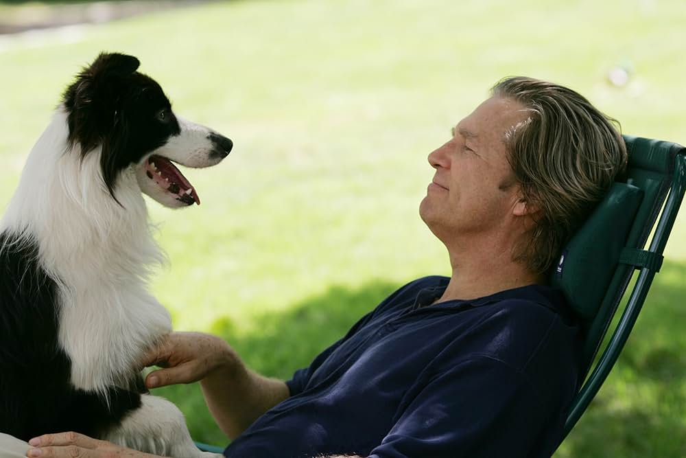 わが心の友 愛犬デヴォンの画像