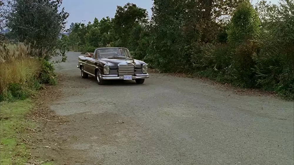 迷い婚 すべての迷える女性たちへの画像