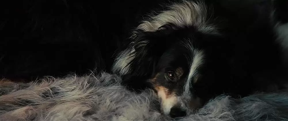 ハイ・ライズの画像