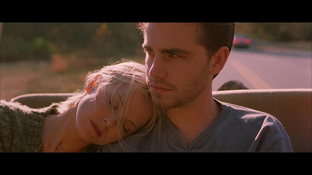 キャビン・フィーバーの画像