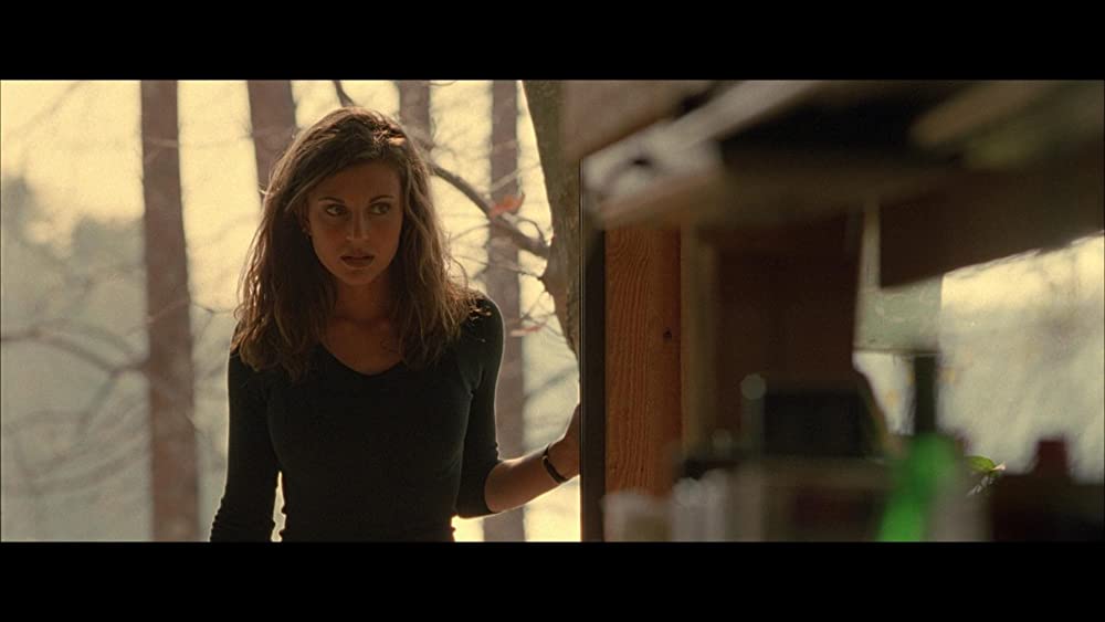 キャビン・フィーバーの画像