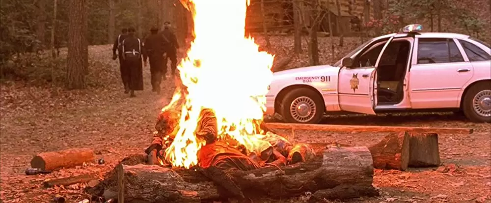 キャビン・フィーバーの画像