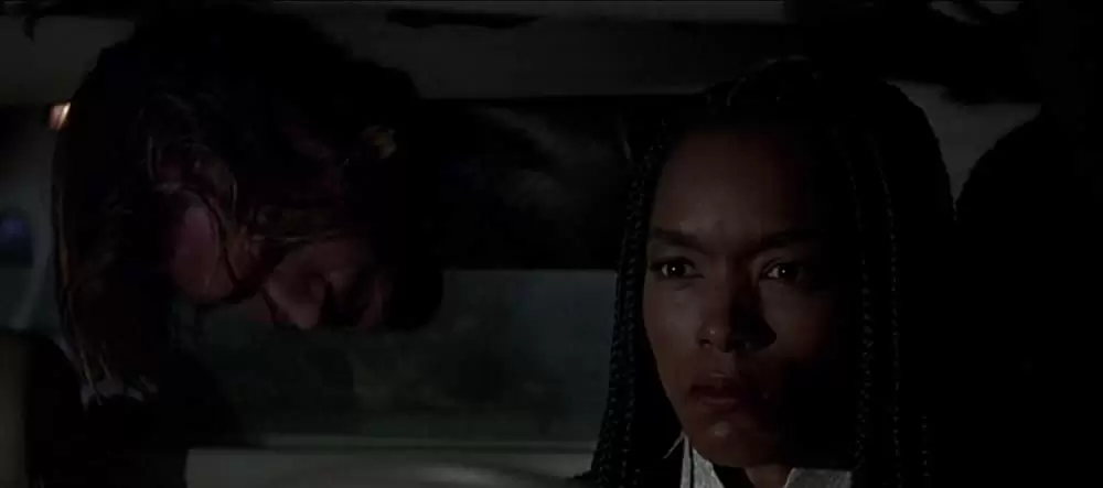 「ストレンジ・デイズ／1999年12月31日」レイフ・ファインズ & アンジェラ・バセットの画像