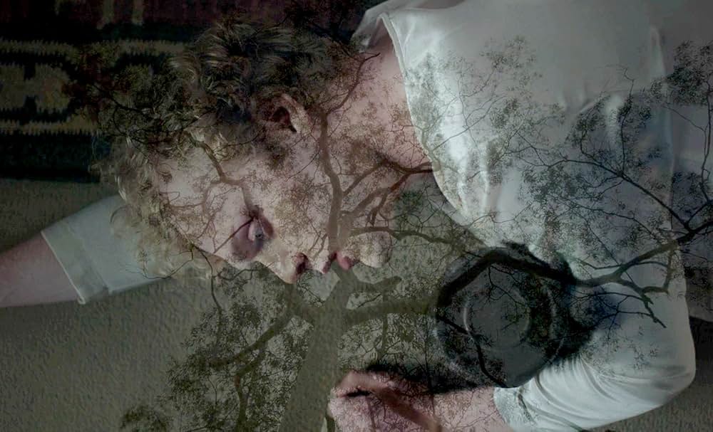 The Bloodhound（原題）の写真