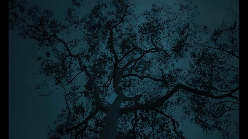 The Bloodhound（原題）の画像