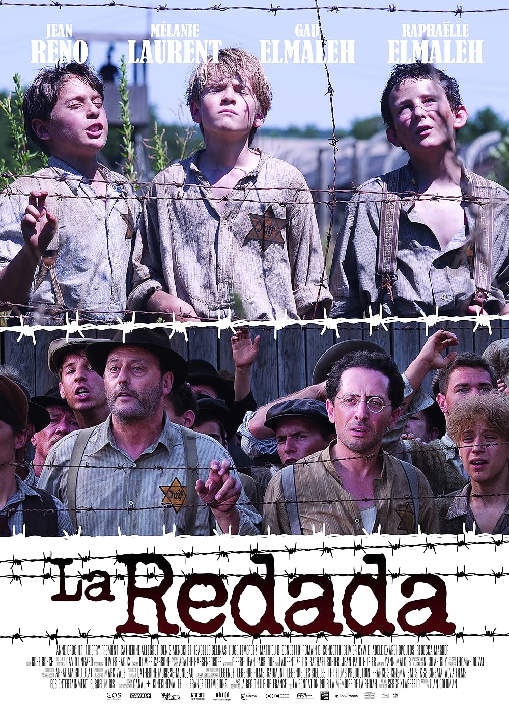 黄色い星の子供たちの画像