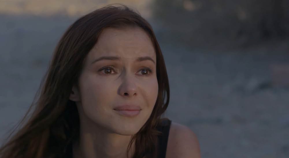 Miranda Veil（原題）の画像