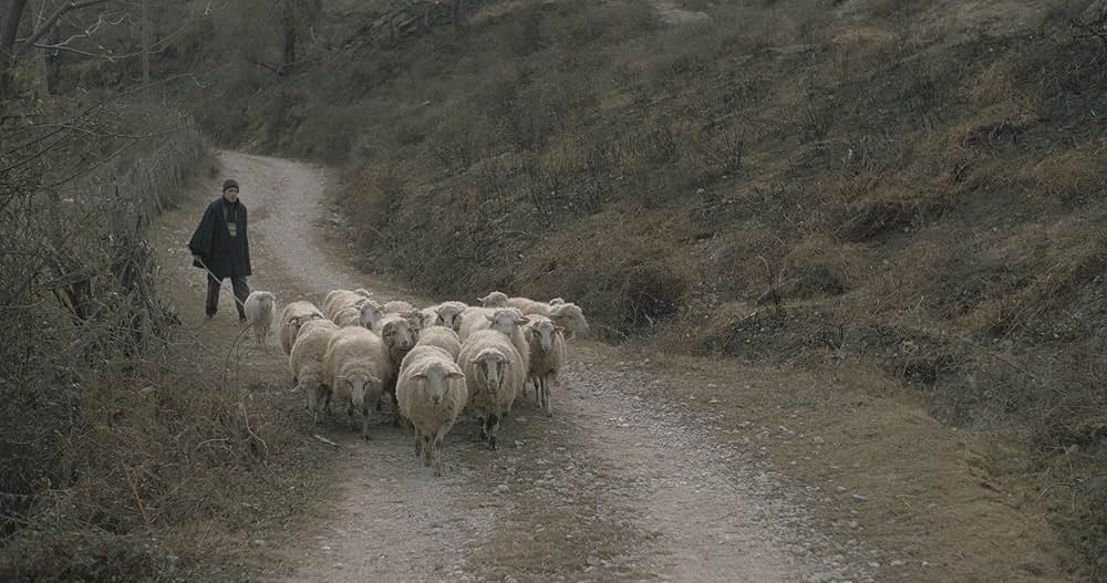 ニュースの画像