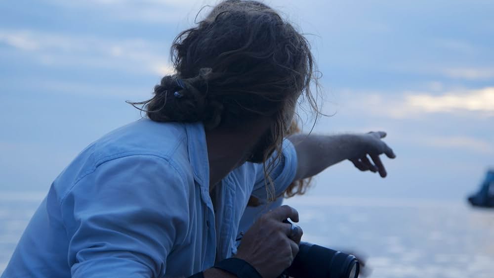 カレント・シーの画像