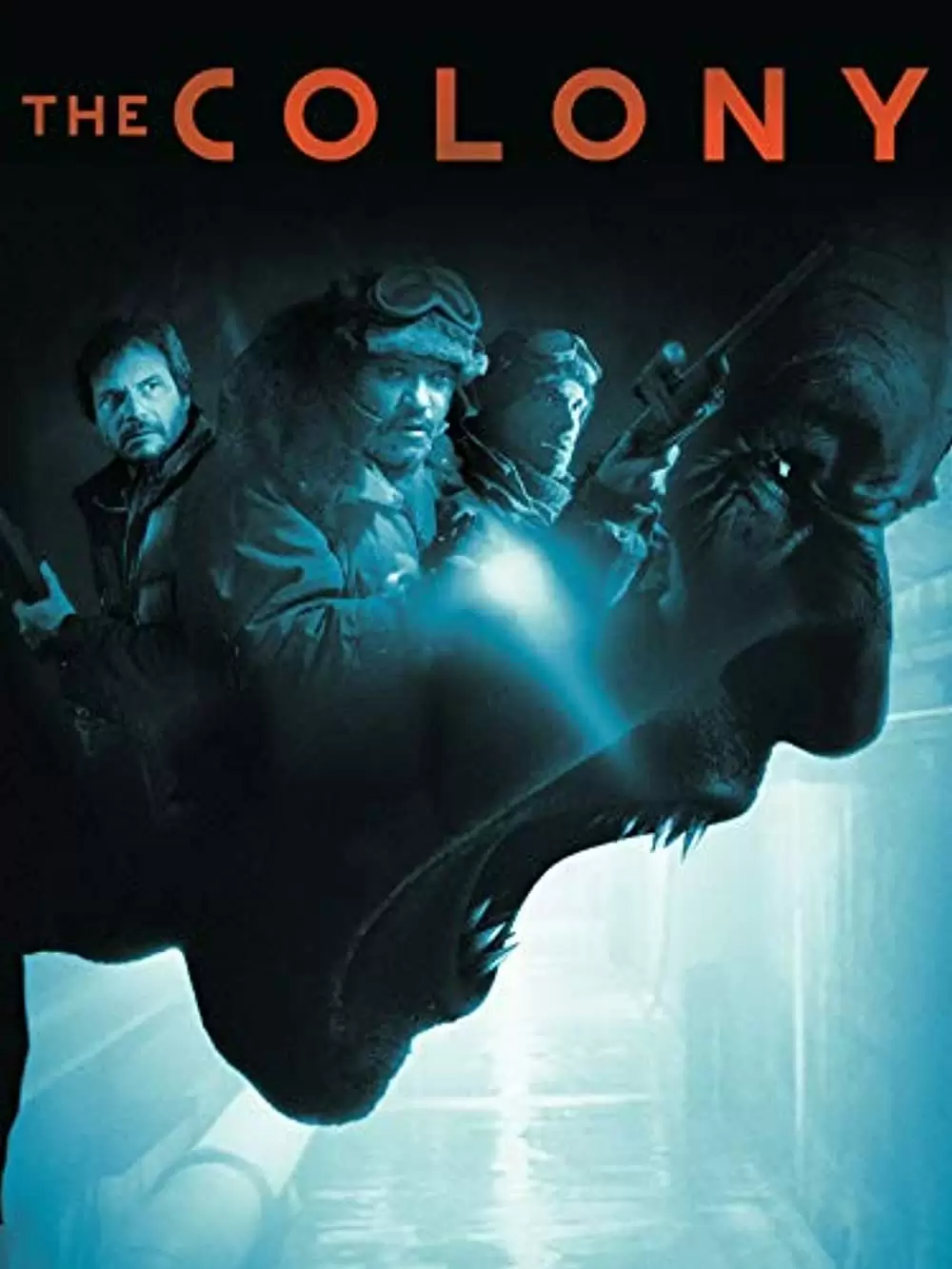 コロニー５の画像