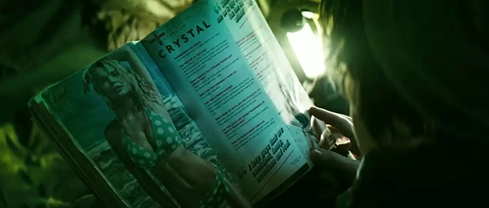 コロニー５の画像