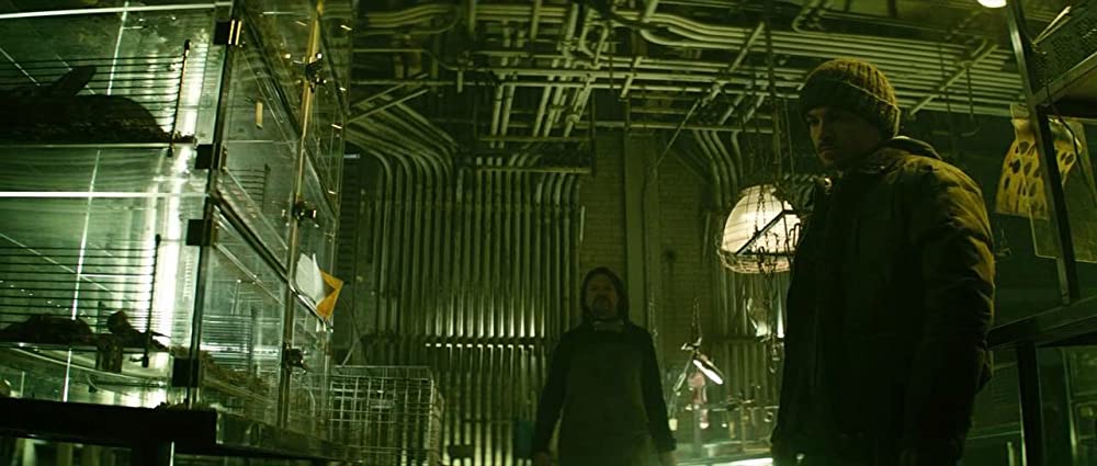 コロニー５の画像