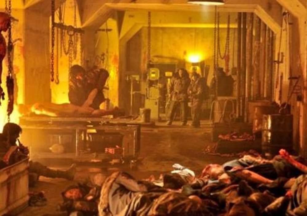 コロニー５の画像