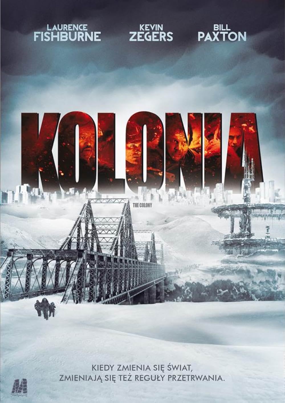 コロニー５の画像