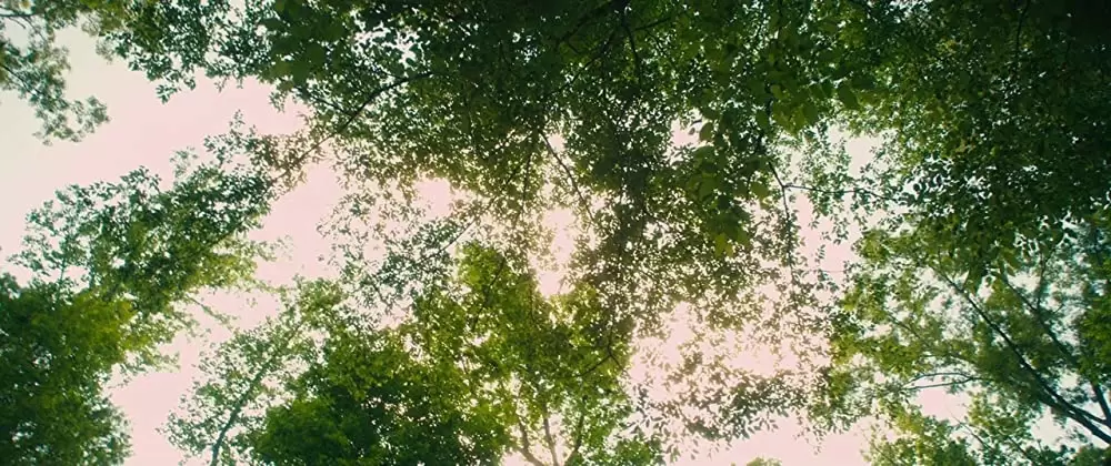 ファイナル・ガールズ 惨劇のシナリオの画像