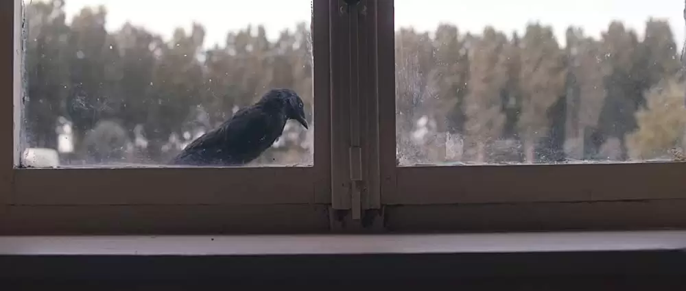 オーバー・ザ・ブルー・スカイの画像