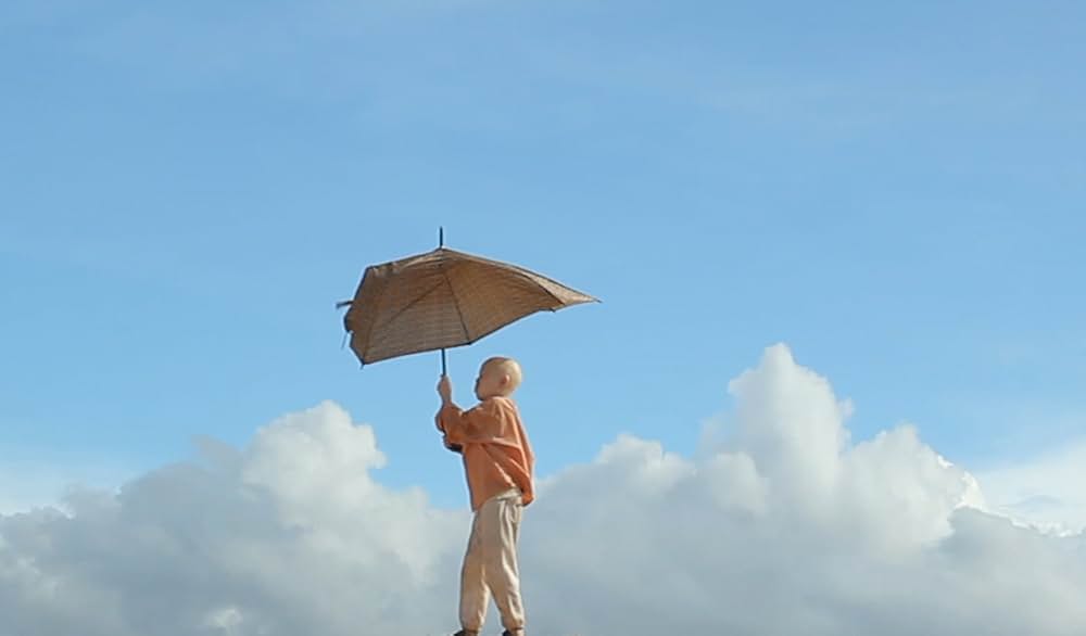 White Shadow（原題）の写真