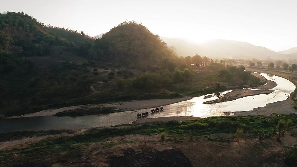 アイアン・フィスト2の画像