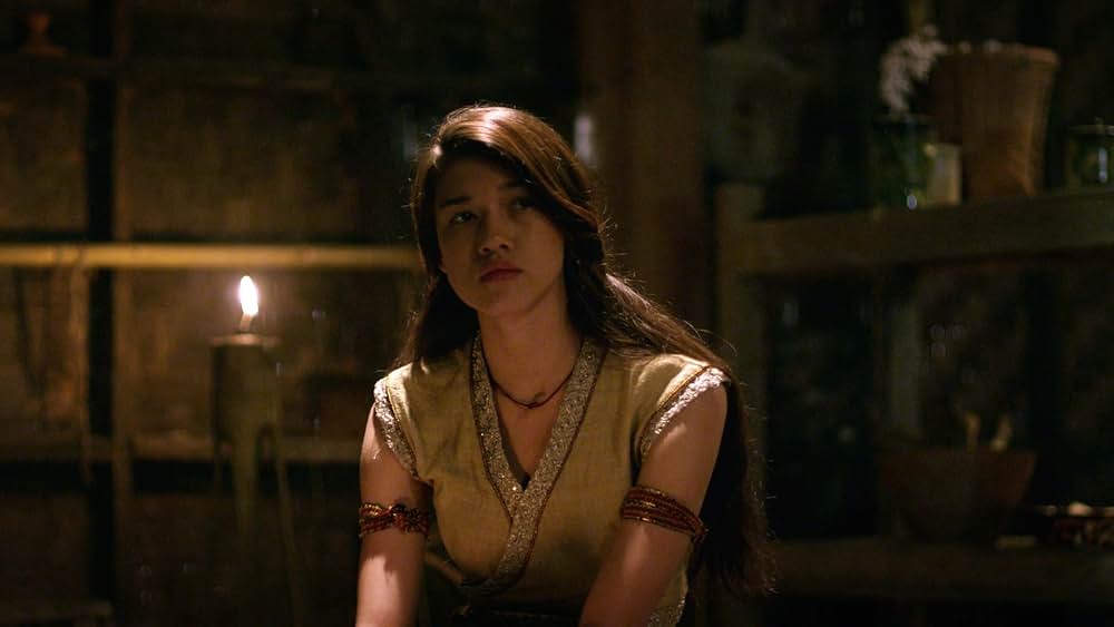 アイアン・フィスト2の画像