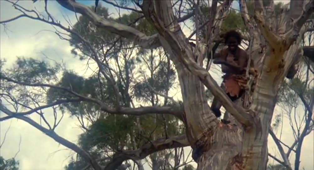 マンガニーニの画像