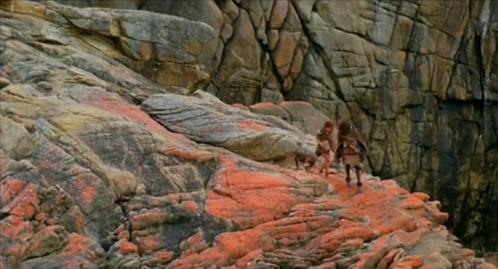 マンガニーニの画像