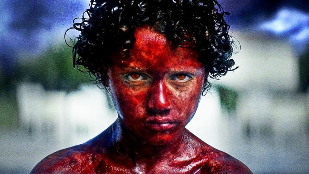 Camera Obscura（原題）の写真