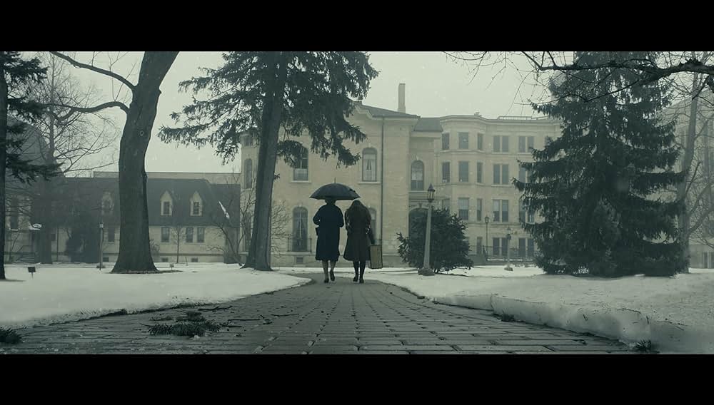 The Book of Birdie（原題）の画像