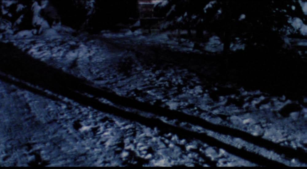 デモンズ／魔性の血族の画像