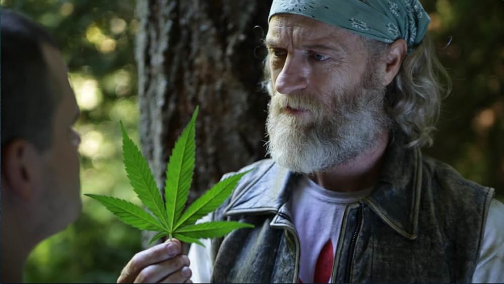 スペースドラッグの画像