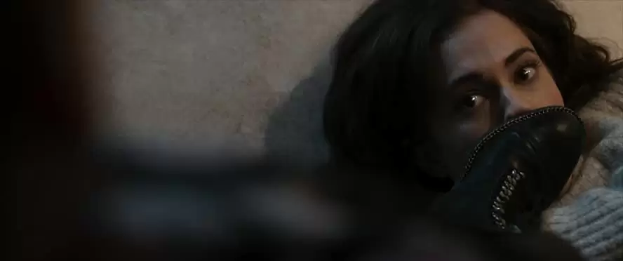 パーフェクションの画像