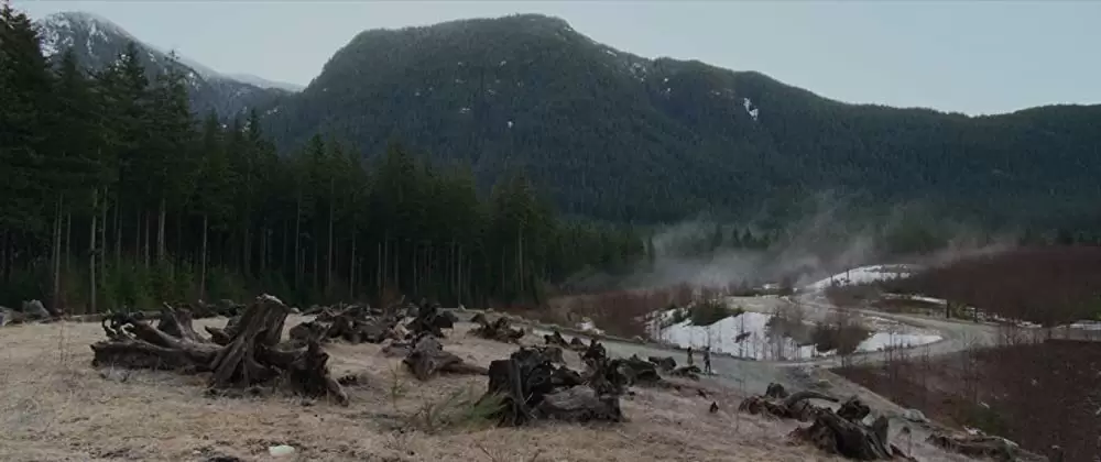 パーフェクションの画像