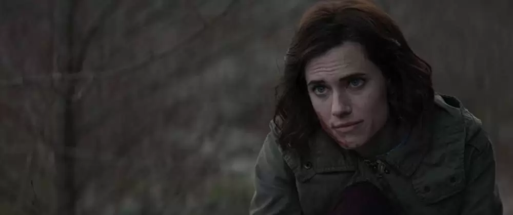 パーフェクションの画像