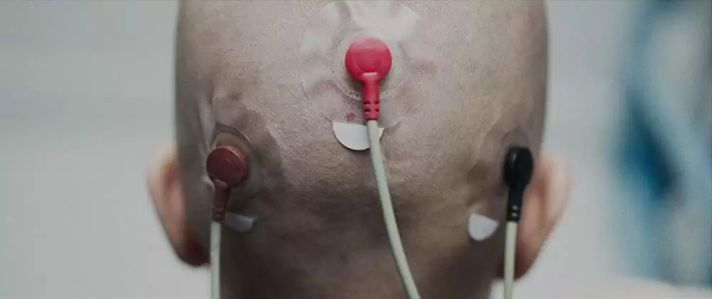 パーフェクションの画像