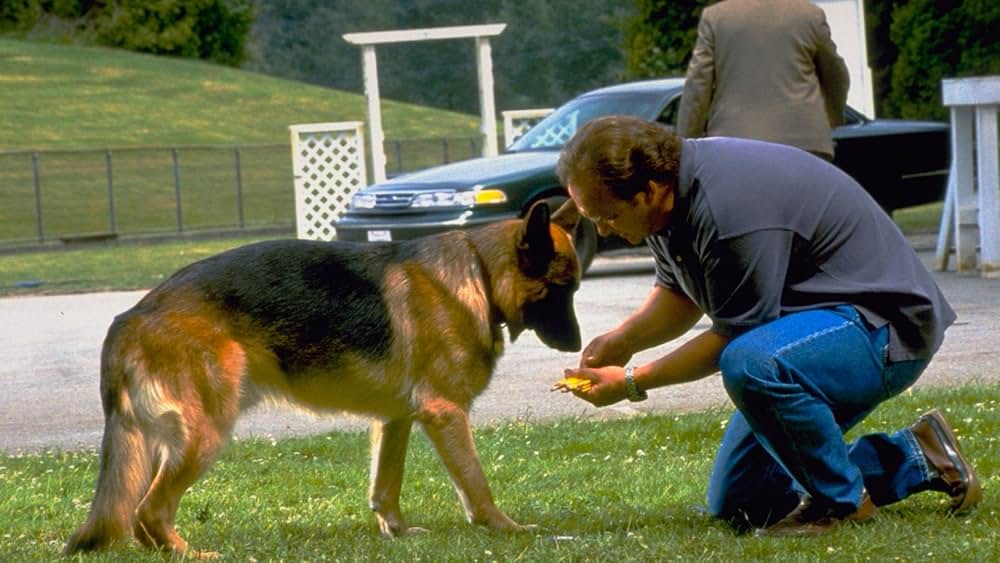 K-9：はみだしコンビ大復活！の画像