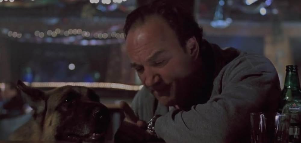 K-9：はみだしコンビ大復活！の画像