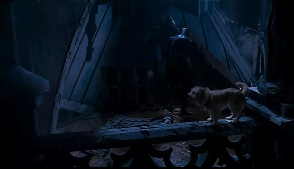 スポーンの画像