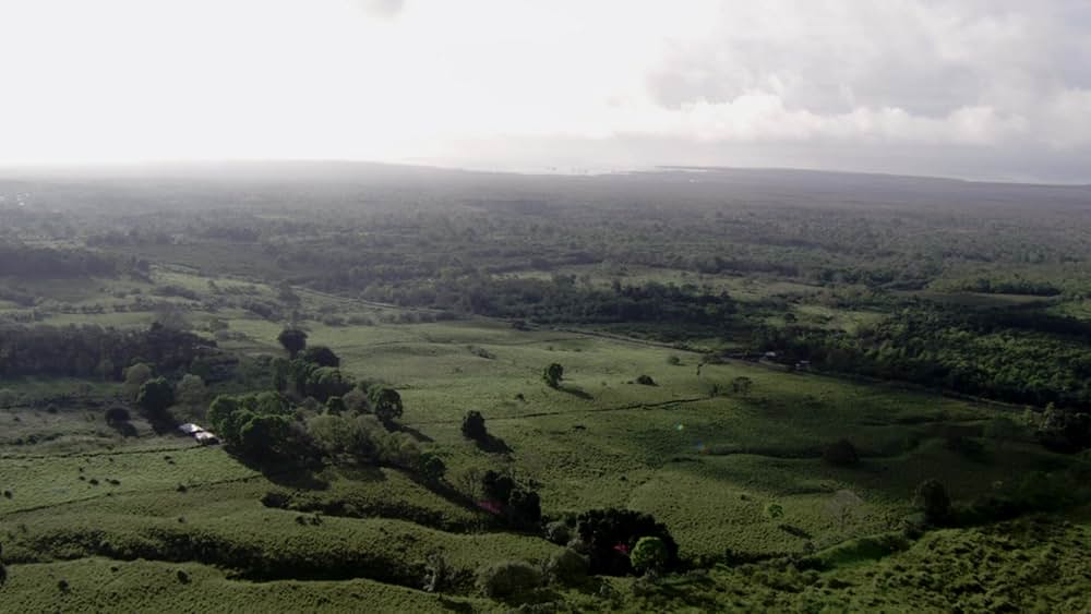 レプリコーン・オリジンズの画像