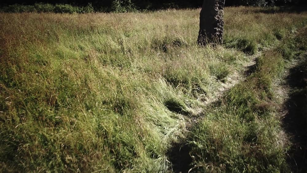 レプリコーン・オリジンズの画像