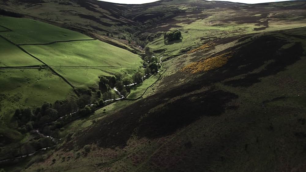 レプリコーン・オリジンズの画像