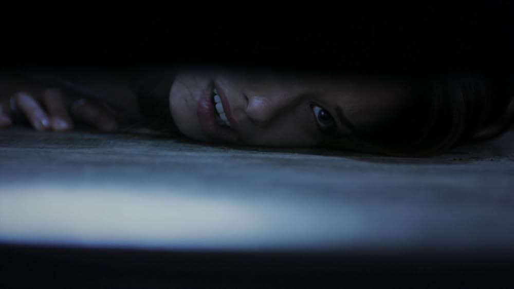 レプリコーン・オリジンズの画像