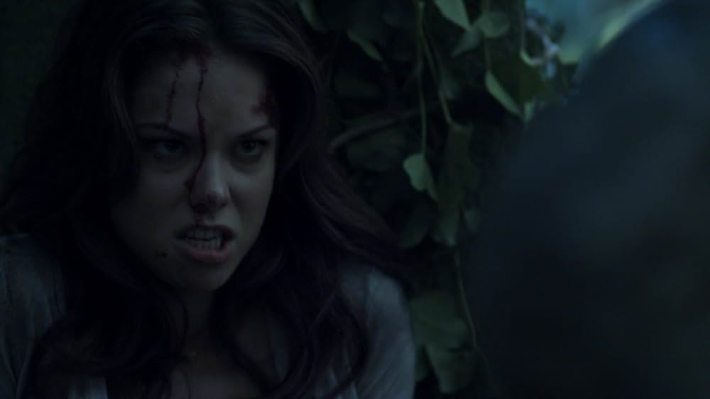 レプリコーン・オリジンズの画像