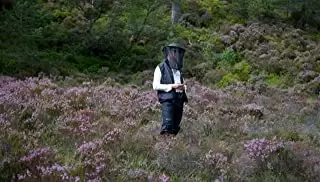 ヴァルハラ・ライジングの画像