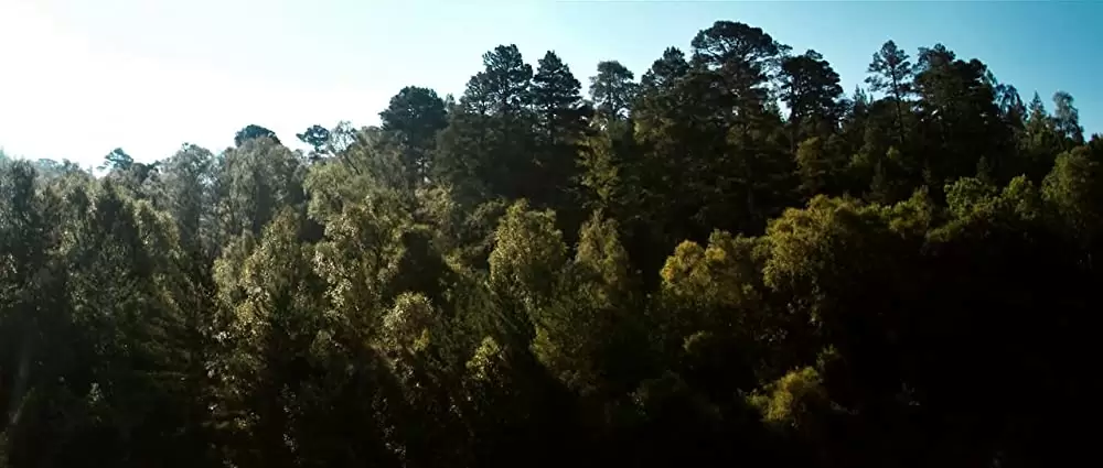 ヴァルハラ・ライジングの画像