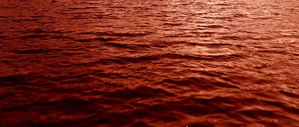 ヴァルハラ・ライジングの画像