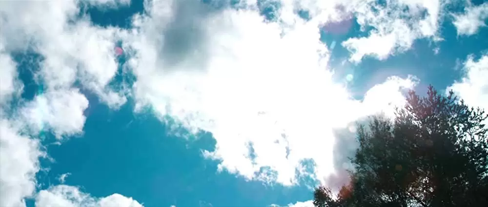 ヴァルハラ・ライジングの画像