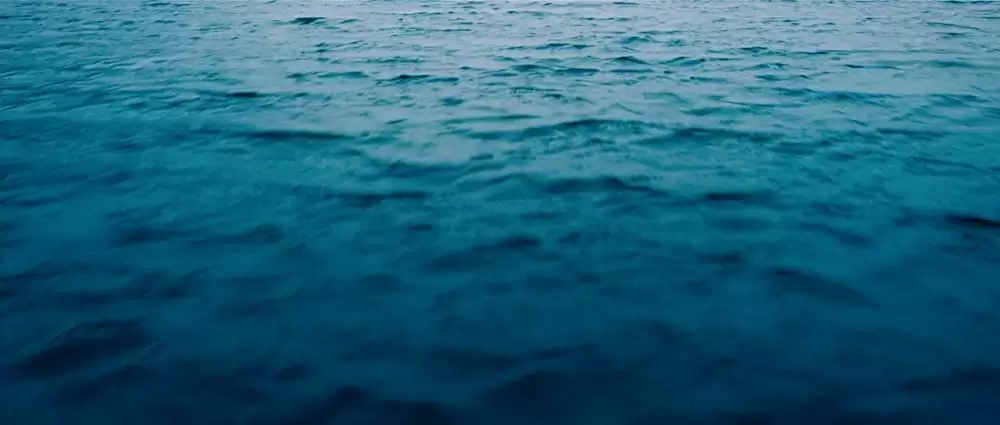 ヴァルハラ・ライジングの画像